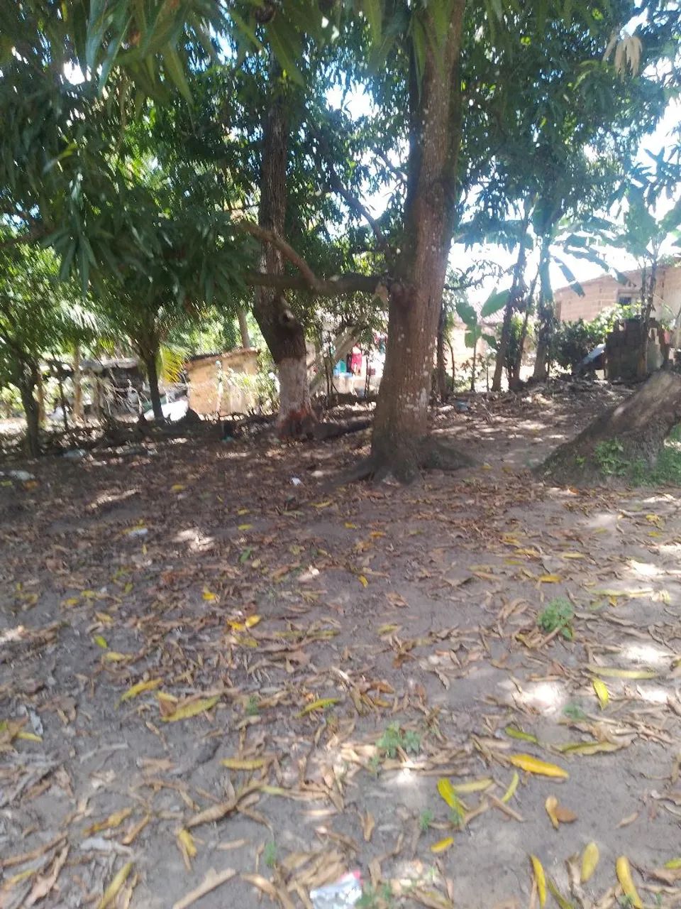 Vende-se  sítio em livramento