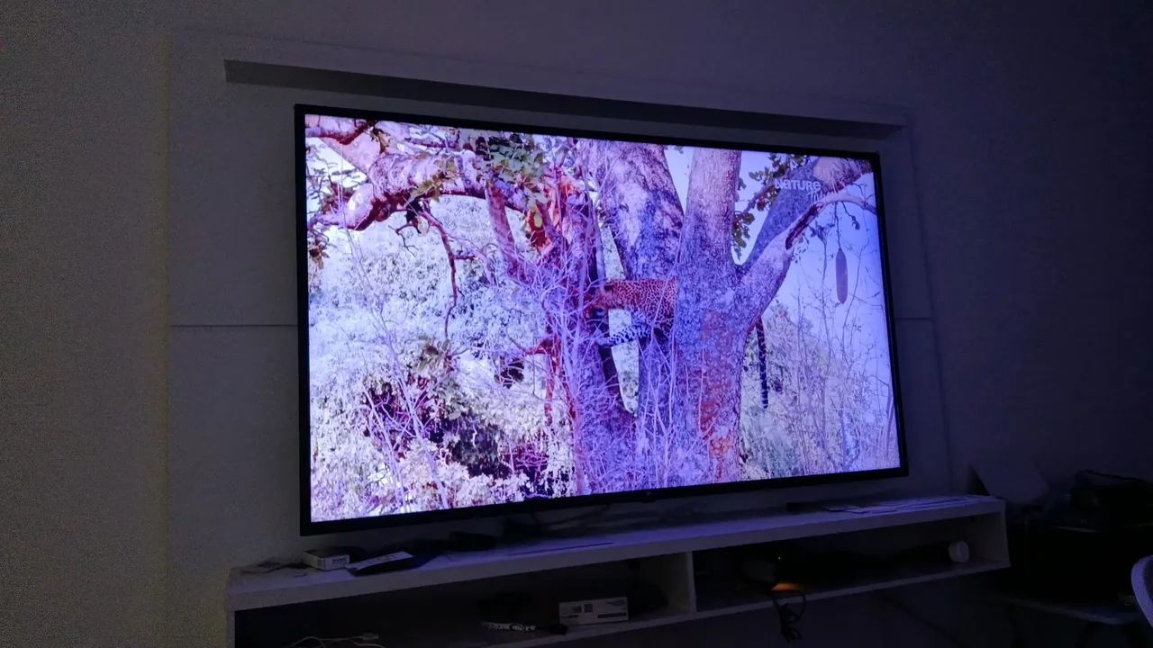 TV LG 60 polegadas 4k