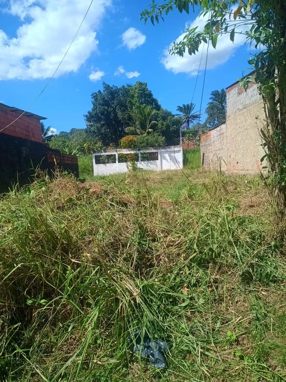 Foto - Dias DÁvila - 