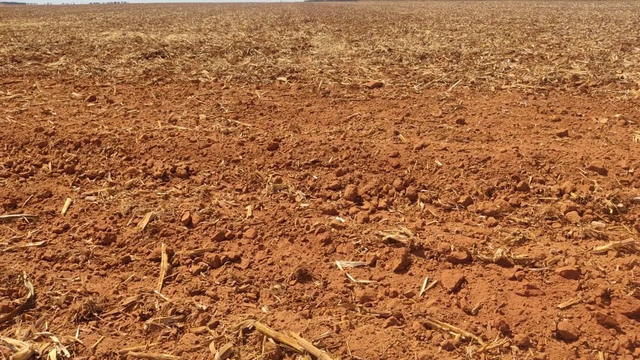Fazenda  gaúcha Norte Mato Grosso  - Foto 2