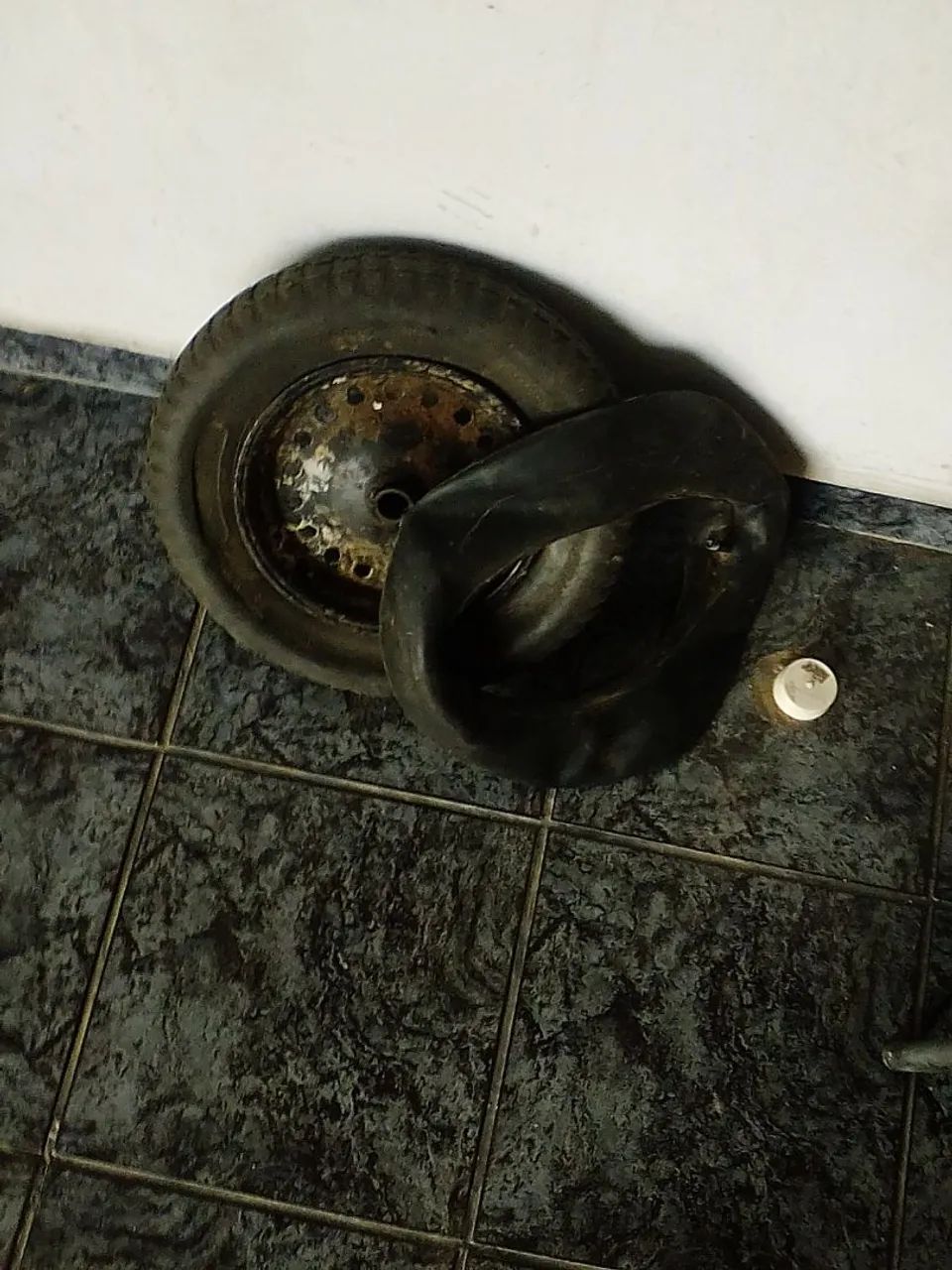 Roda carrinho mão 