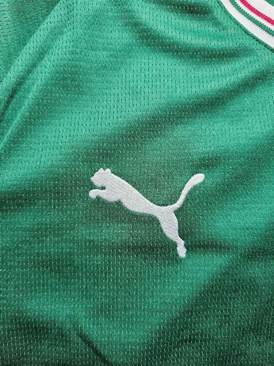 Camisa Palmeiras 2026/27 | Versão Torcedor  - Foto 4