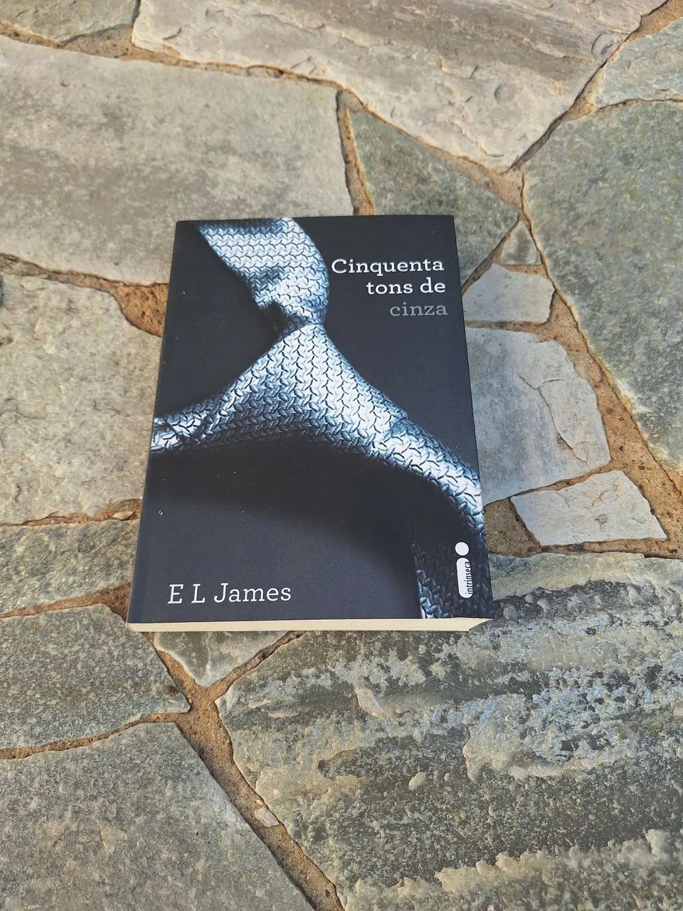 Livro Cinquenta tons de cinza