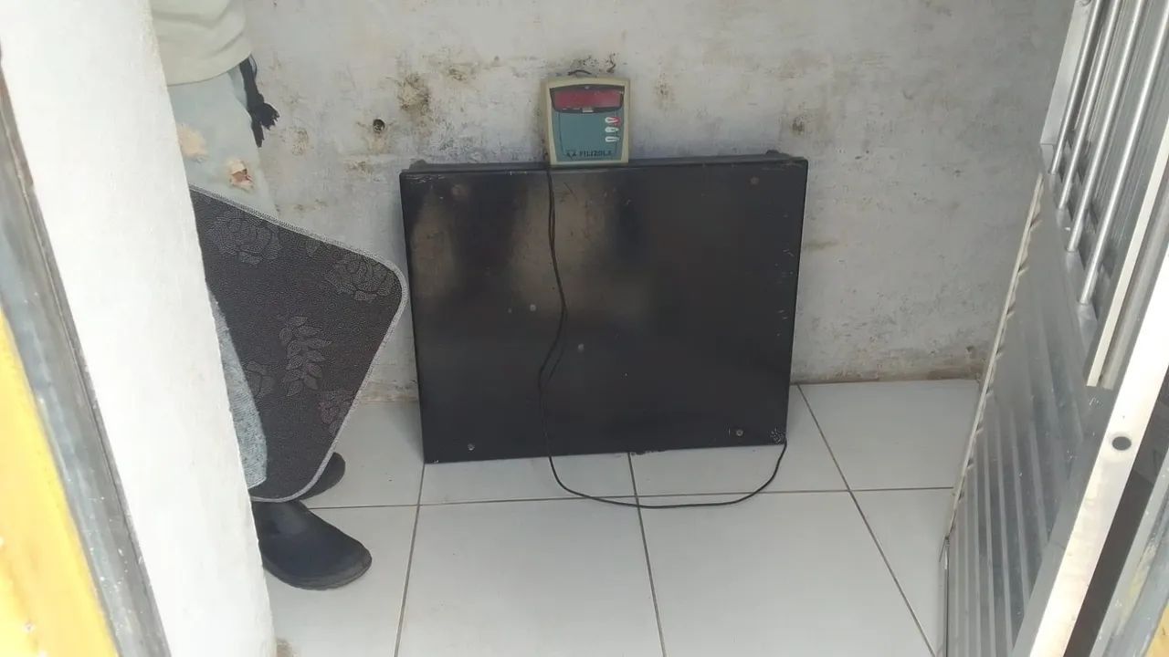 Balança digital para animais suporta até 250 kilos ! 