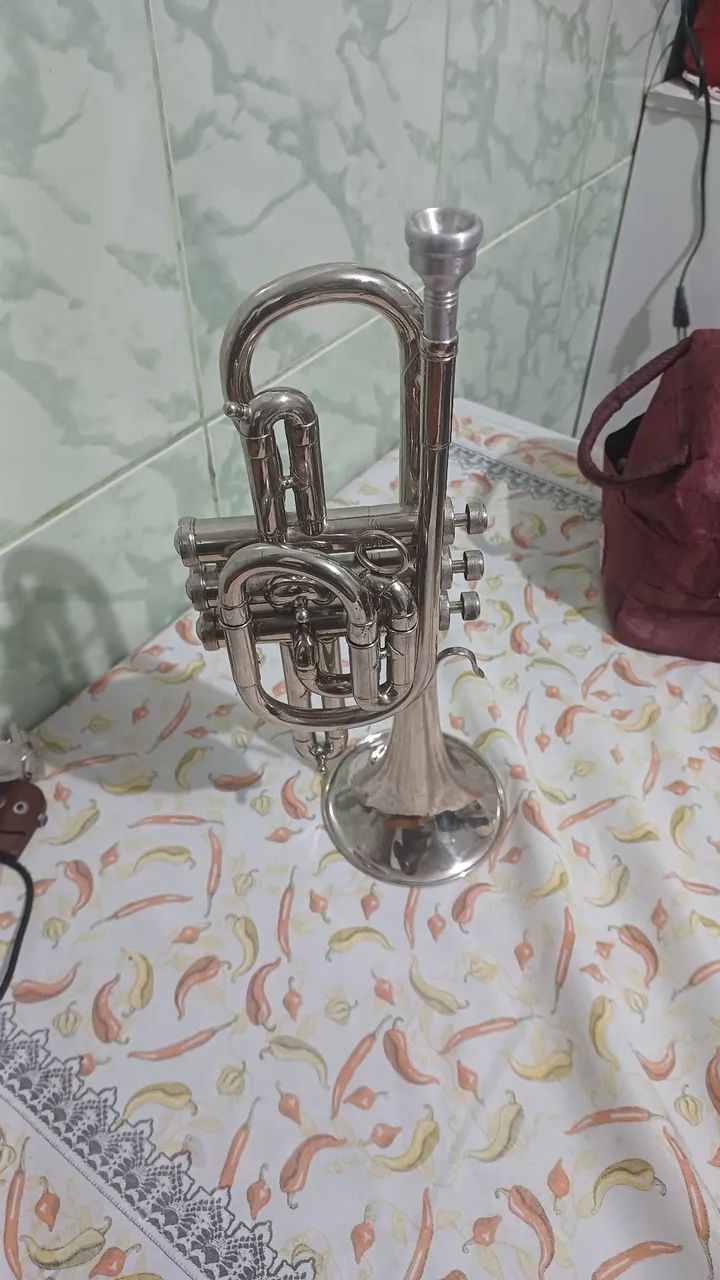 Trompete cornet scavone em si e em dó 