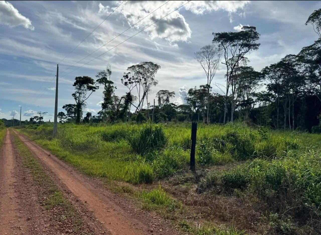 Chácara a venda - Foto 4