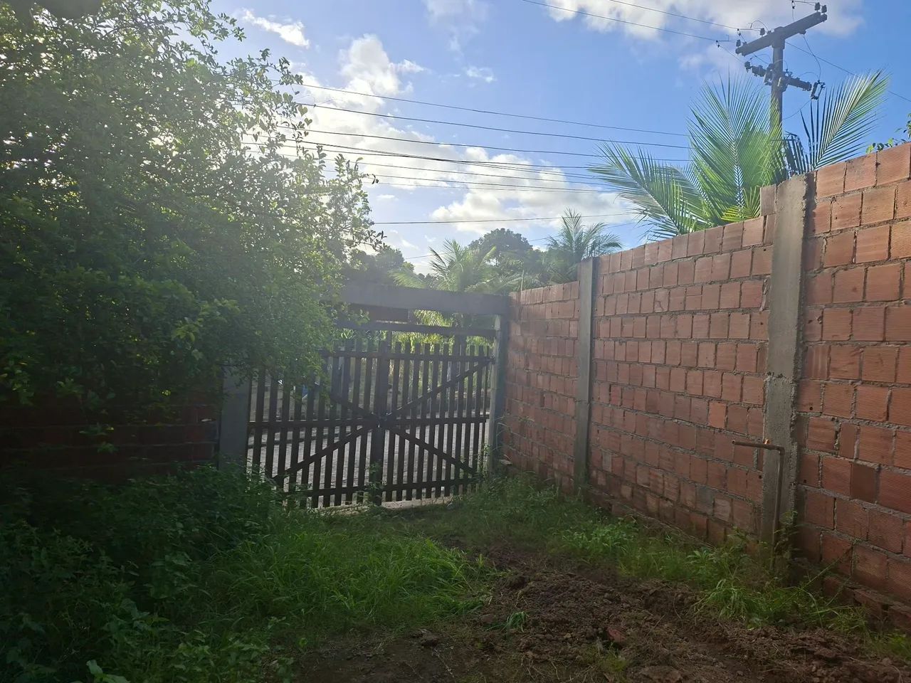 Sitio em Fleixeiras  - Foto 3