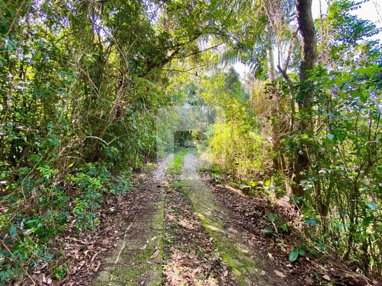 Terreno com acesso à Lagoa da Conceição - Foto 3
