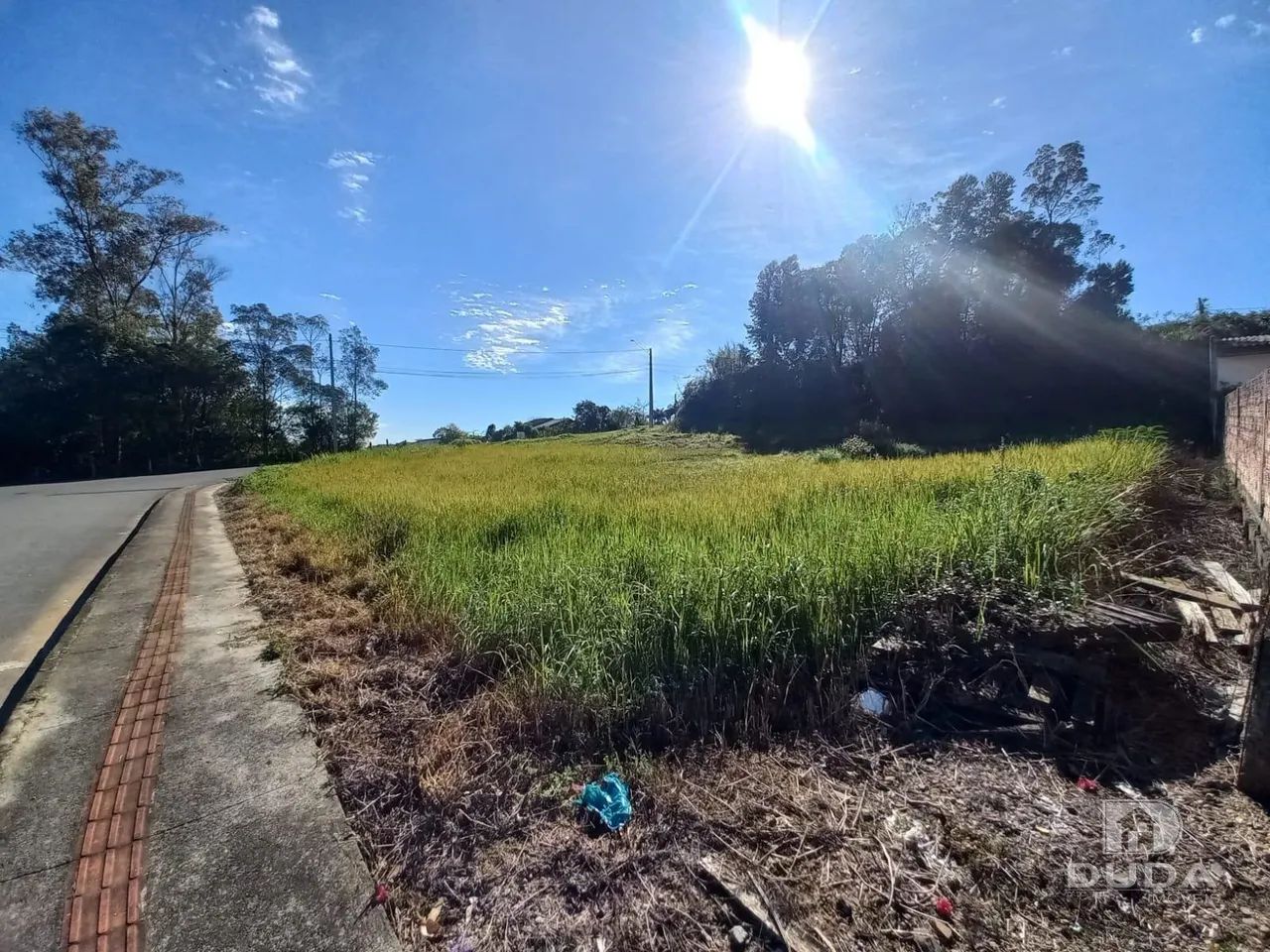 Terreno à venda no Morro Estevão - Foto 4