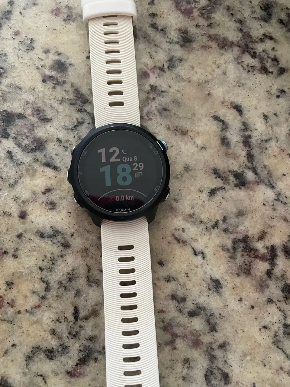 Garmin 245music