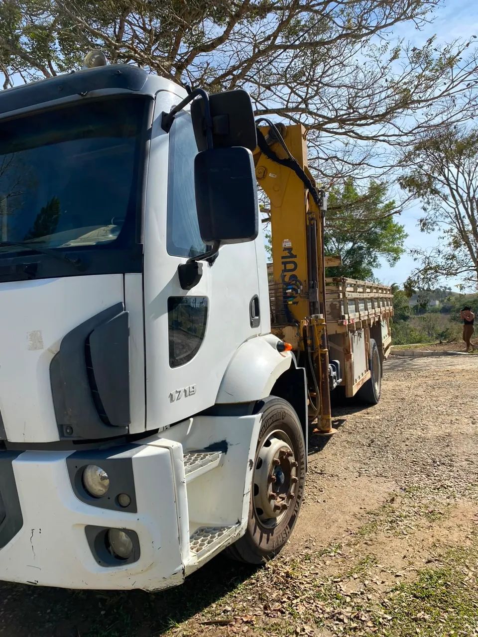 Ford cargo 1719 