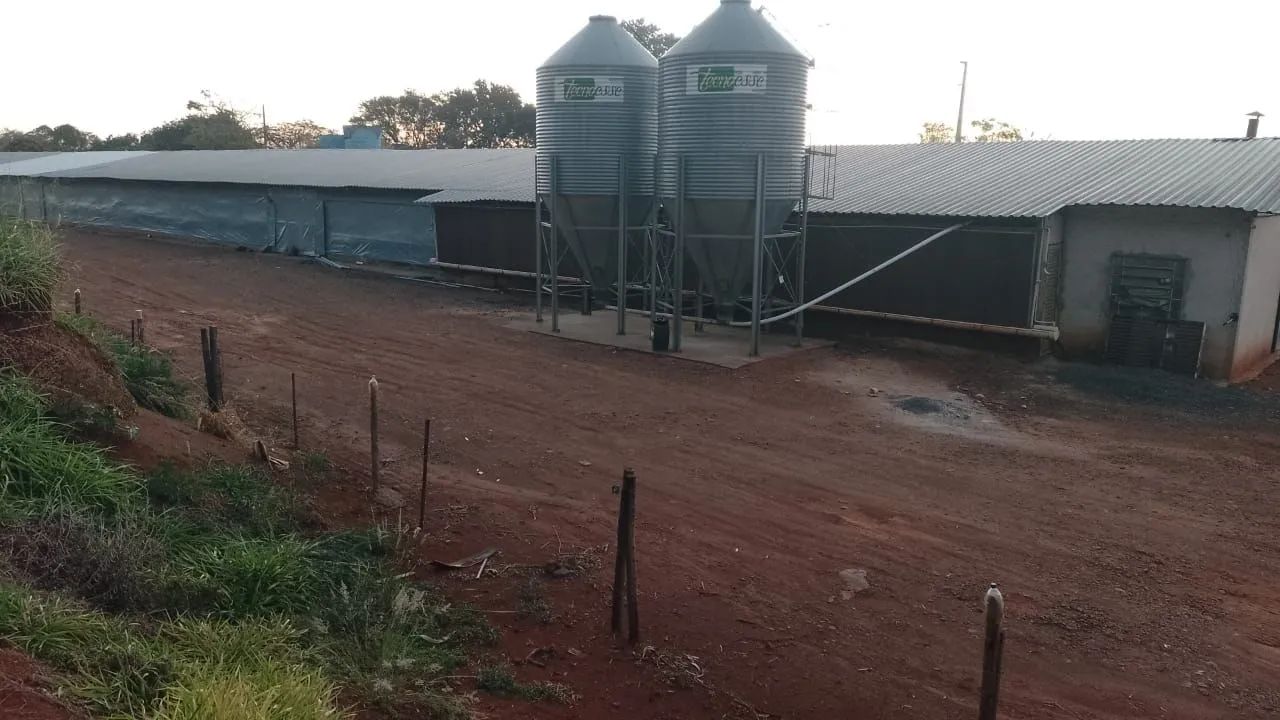 Granja  - Foto 2