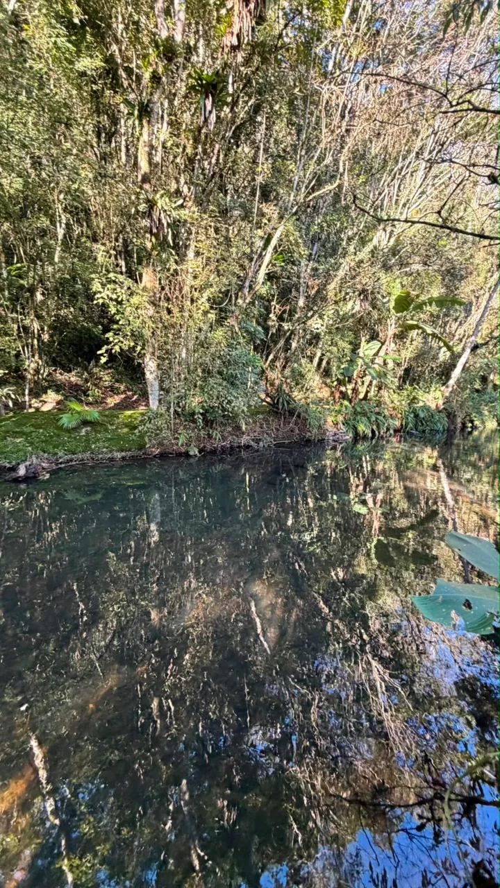Chácara mobiliada no Rio Jordão  - Foto 2