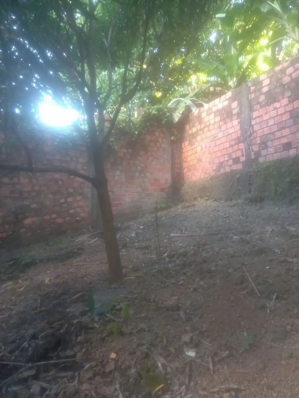 vendo uma casa 4 quartos perto de tudo  - Foto 4