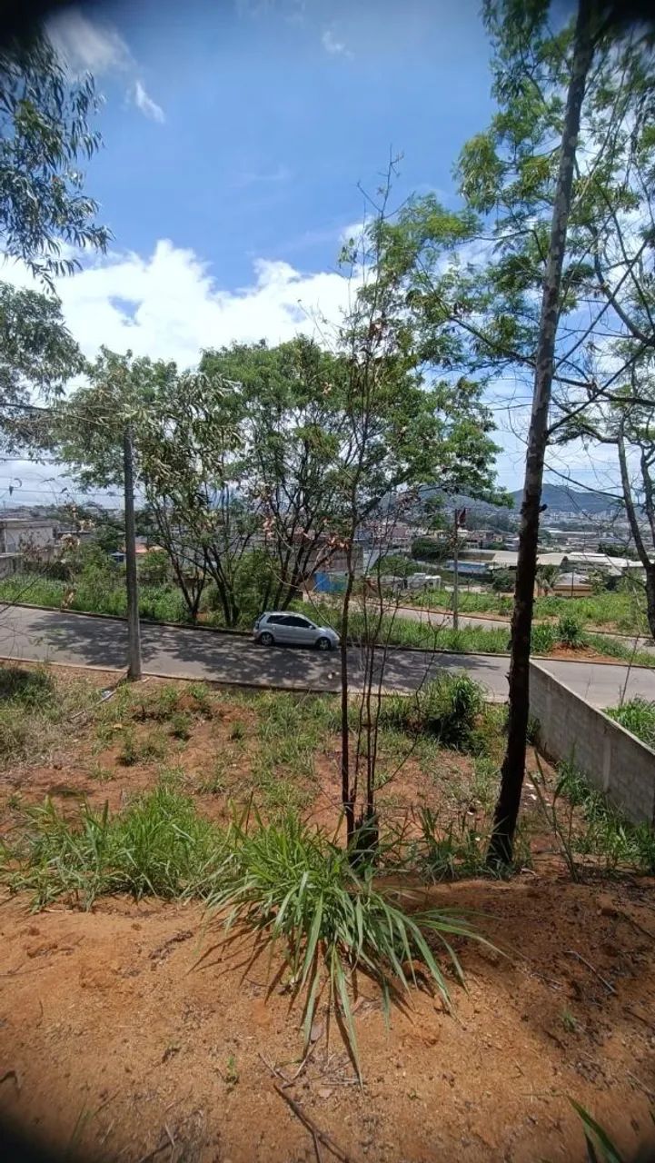 Terreno a venda em jardim América  - Foto 2
