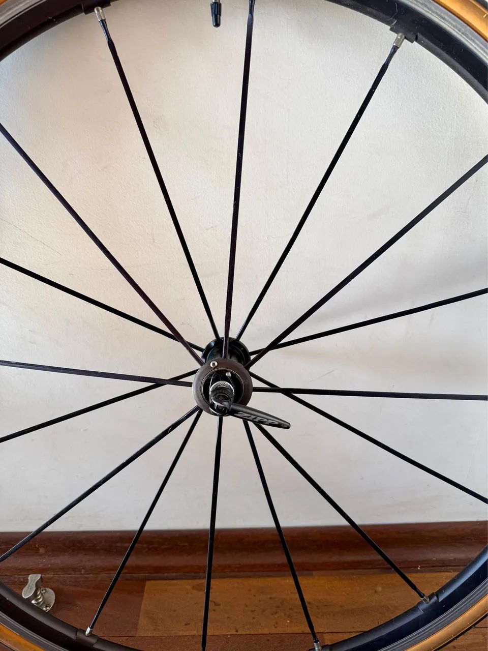 Rodas Campagnolo Eurus Tubeless 11v - Ciclismo - Vila Brasília
