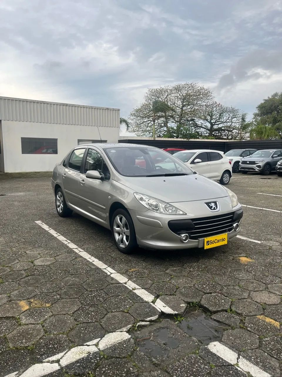 Peugeot 307 307 Sed.Feline/Griff 2.0/2.0 Flex 4p Aut 2009