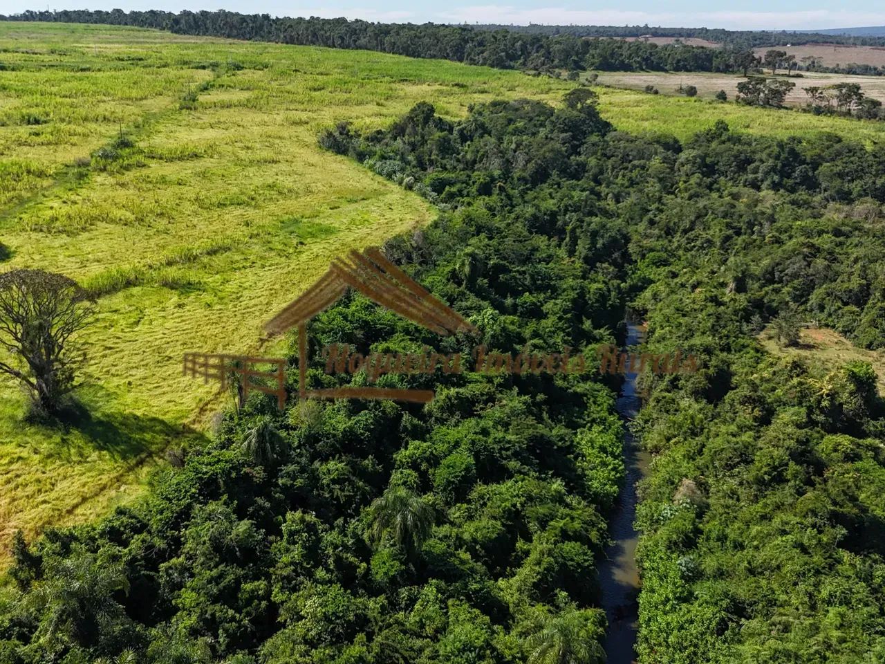 Área com 18 alqueires na região de Avaré-SP - Foto 4