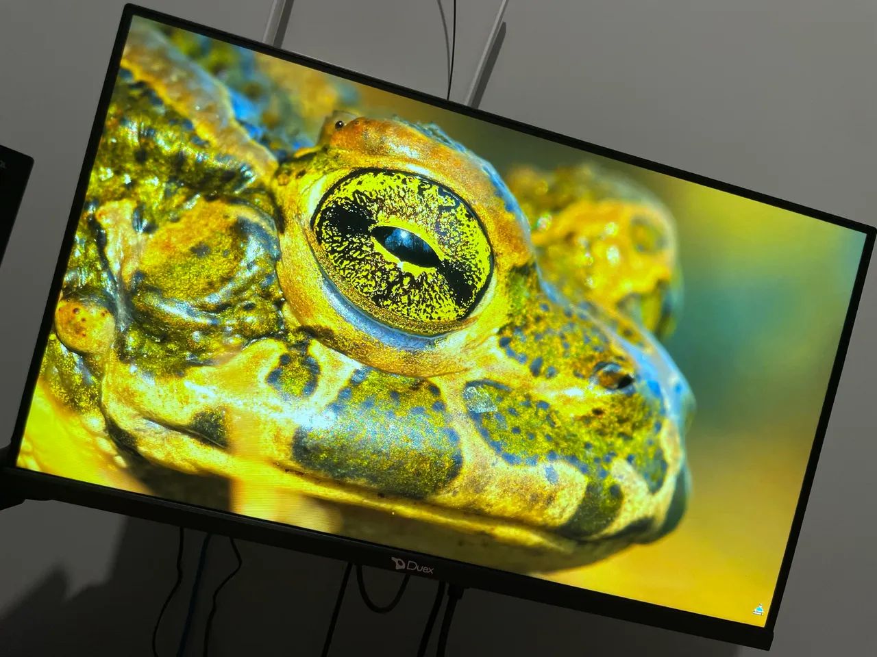 Monitor gamer duex 165 hz 1 ms full hd 