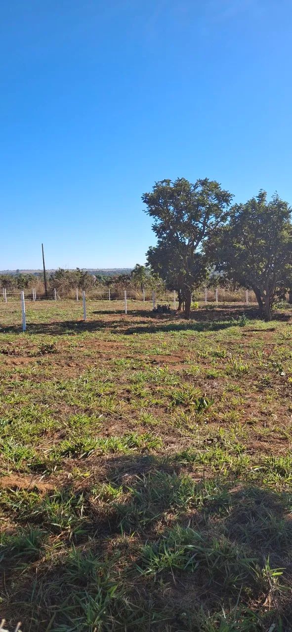 VENDE 3 CHÁCARAS  - Foto 3