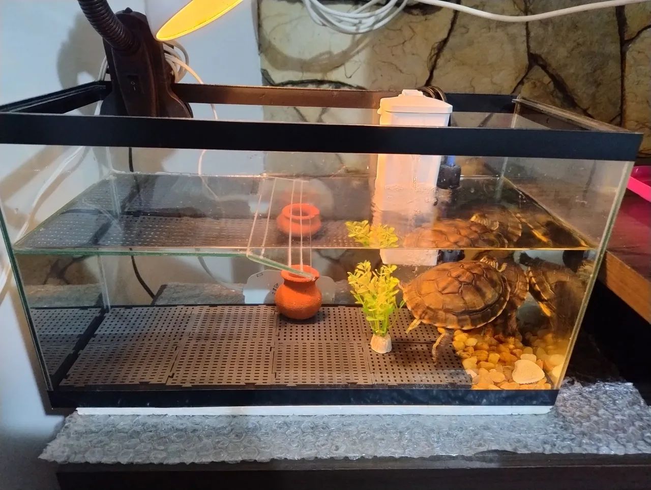 Complete aquarium
