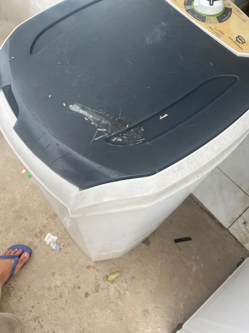 Vende-se tanquinho  - Foto 4