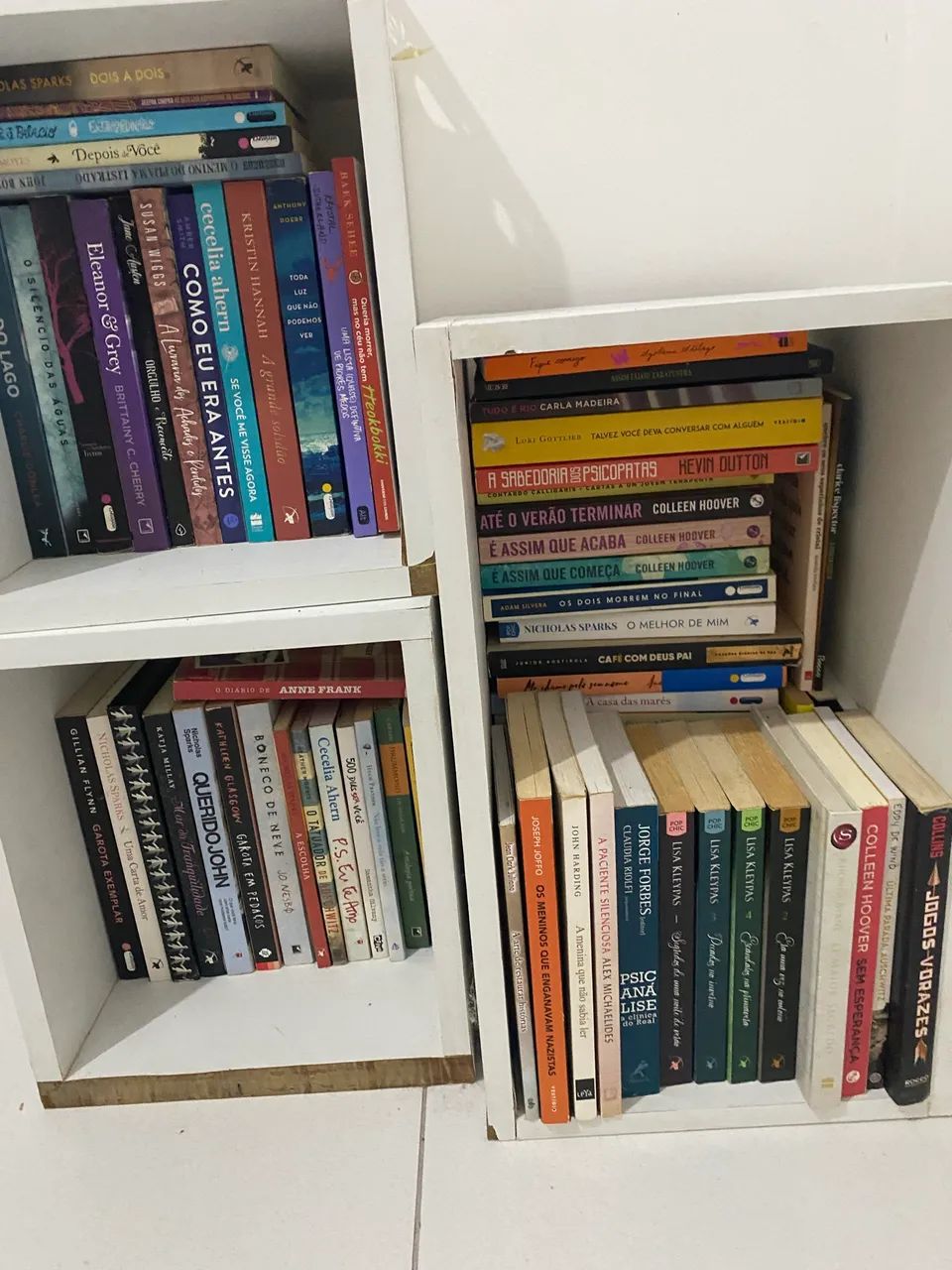 NICHOS DE LIVRO