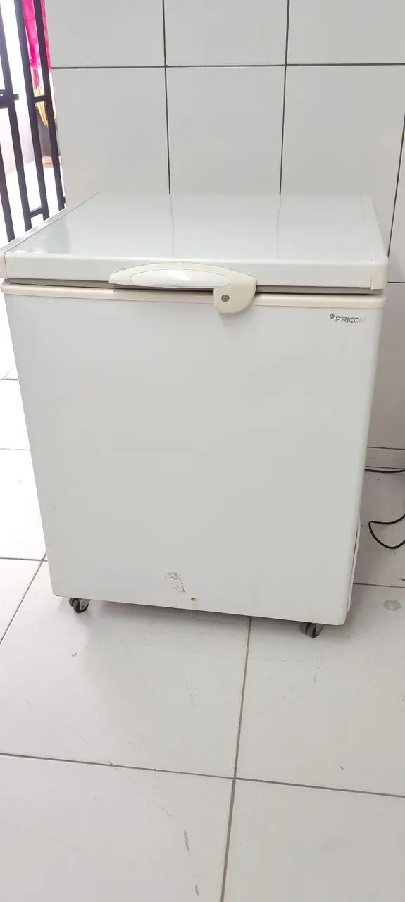  Freezer Fricon  - Foto 2