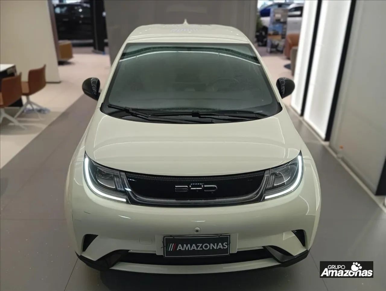 BYD Dolphin EV (Elétrico) 2024 - Foto 3