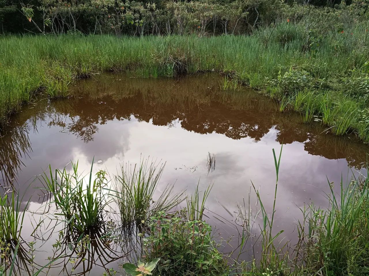 Sítio/fazenda dentro de Ipoema  - Foto 5