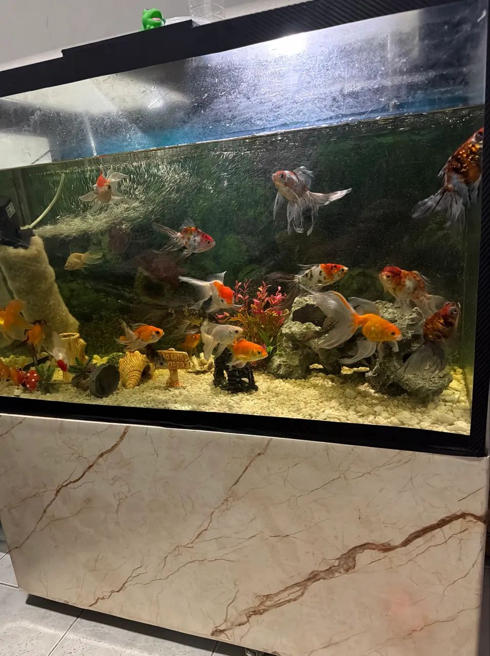 Aquário impecável  - Foto 3
