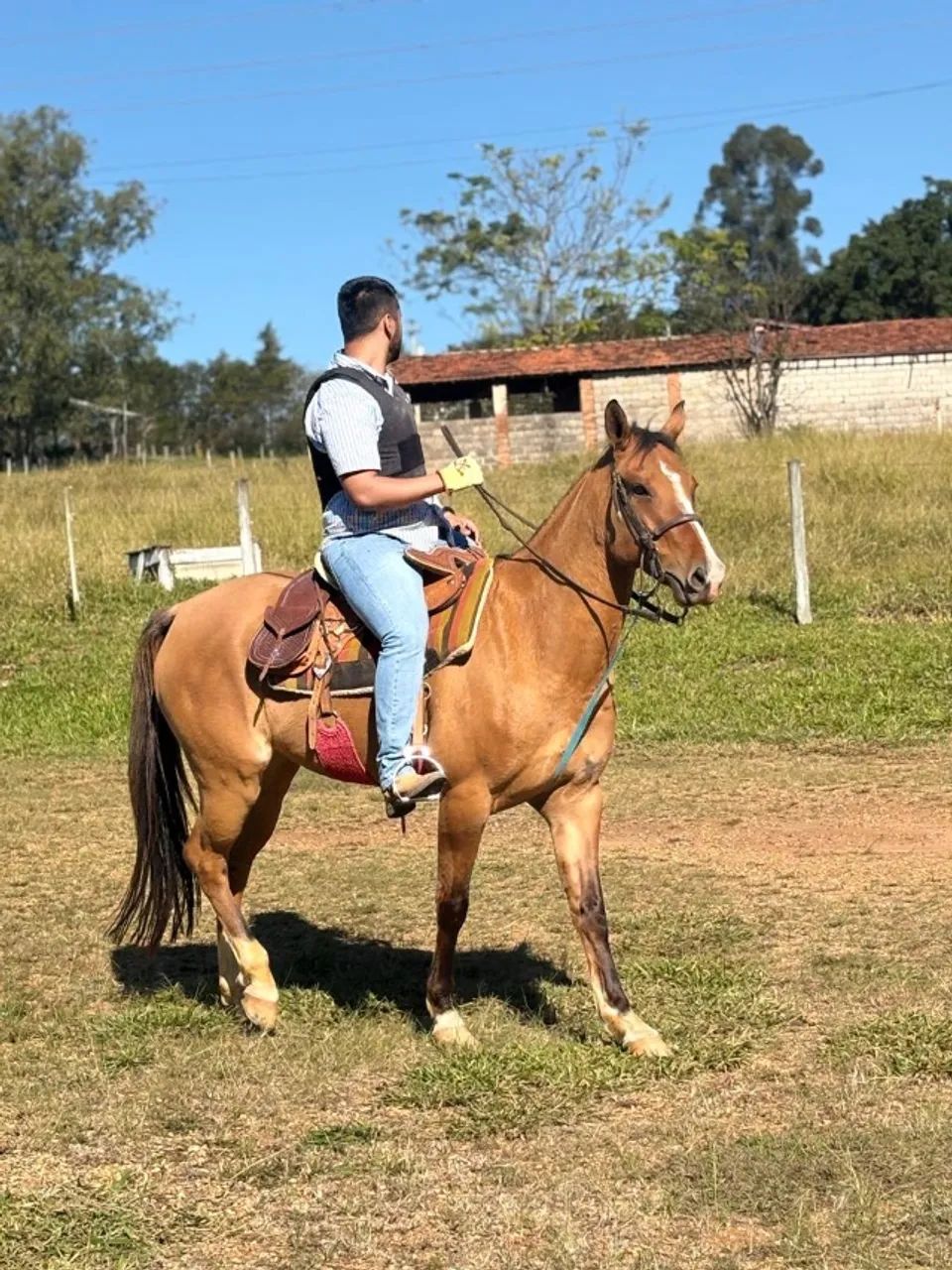 Égua  - Foto 3