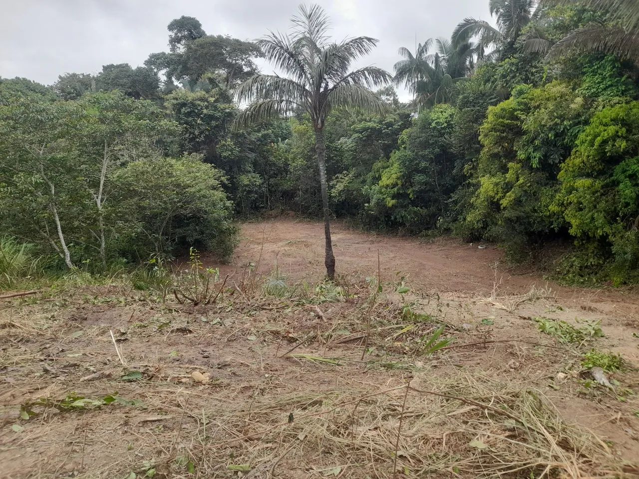 Chácara  - Foto 4