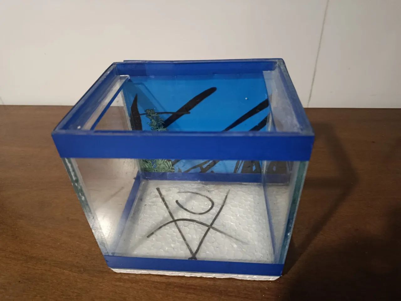 Aquário para Betta  - Foto 2