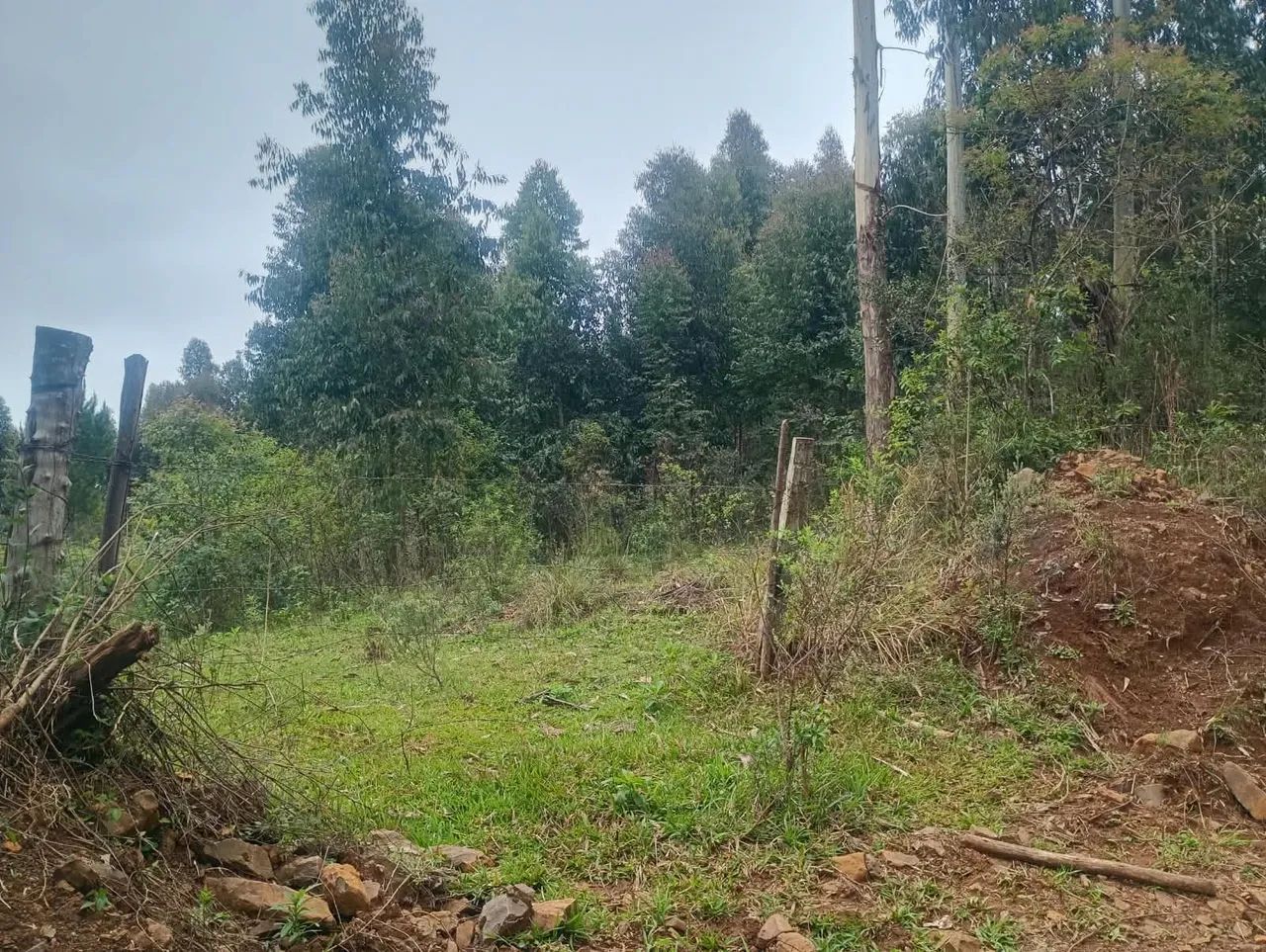 Chácara a Venda  - Foto 3