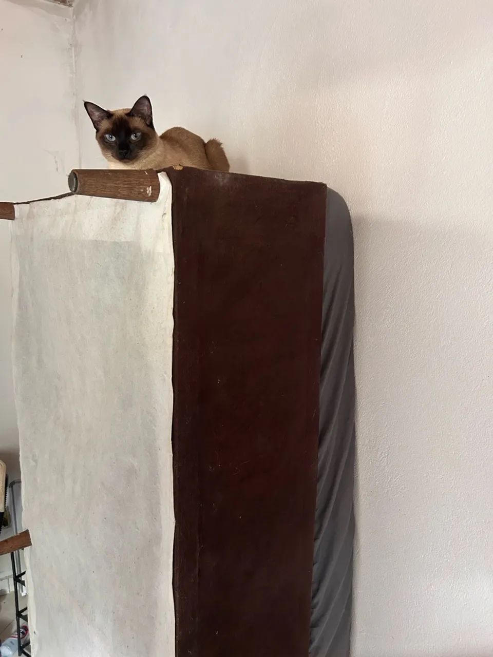 Cama Solteiro  - Foto 2