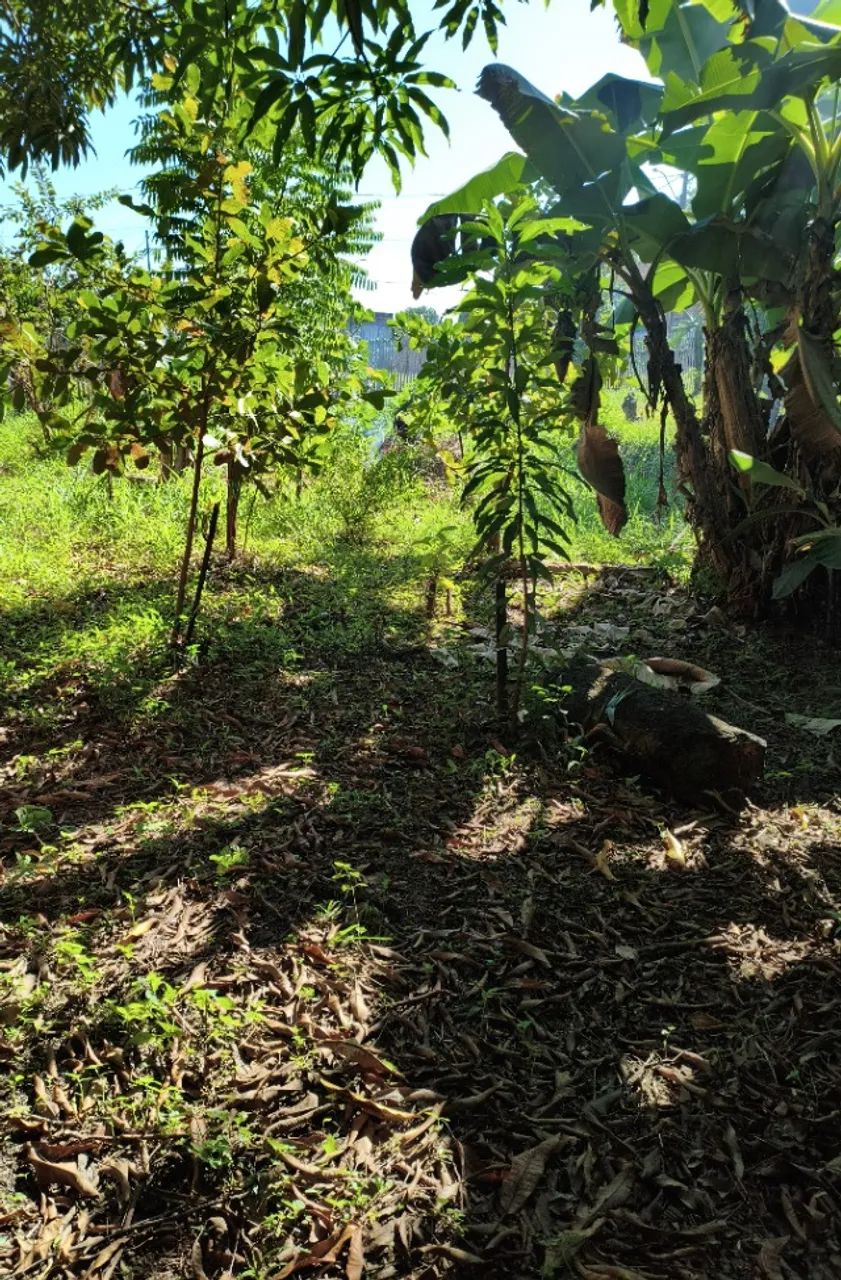 Terreno 10x30 - Foto 5