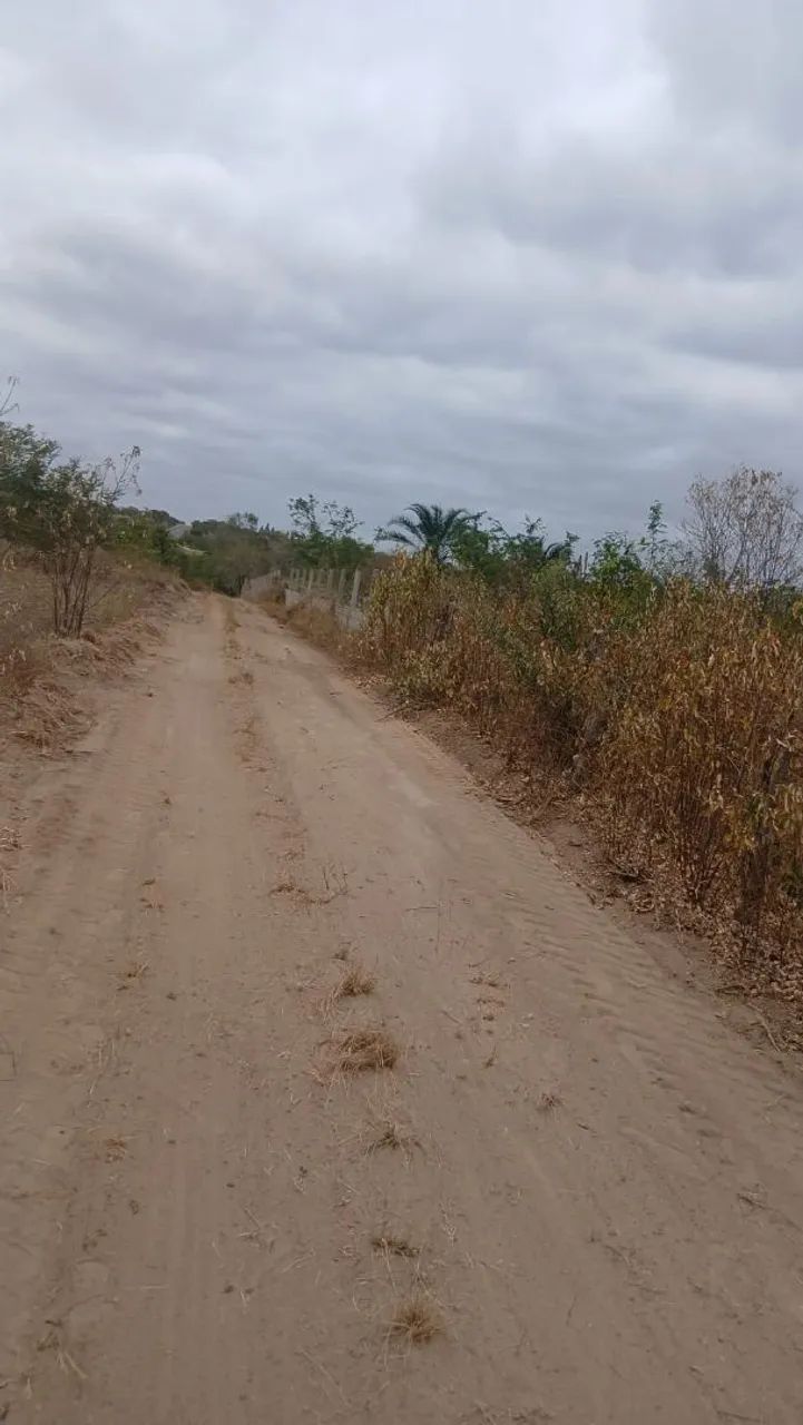Área para sitio. - Foto 5