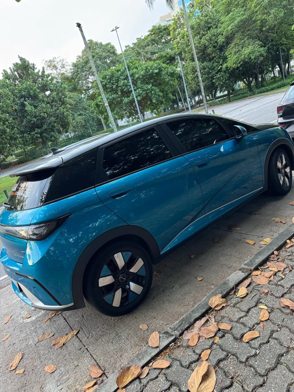 BYD Dolphin Plus (Elétrico) 2024 - Foto 3