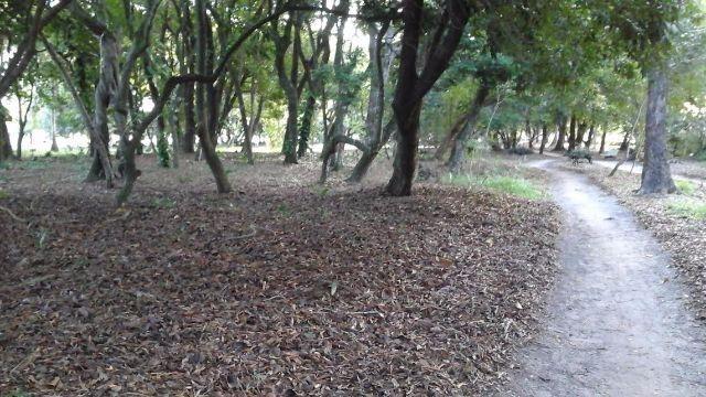 Temporada em Arauá (Ilha), 6 suítes - Foto 17