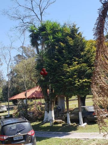 Chácara à venda em Contenda, Sao jose dos pinhais cod:15189 - Foto 5