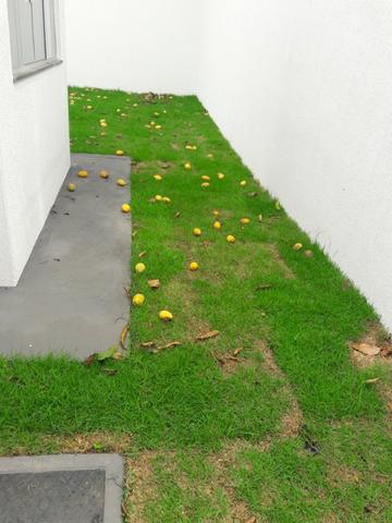 Casa 2 quartos 73m² Construção 250m² Lote Nova Próximo a GO-040 Financia Minha Casa Minha - Foto 5