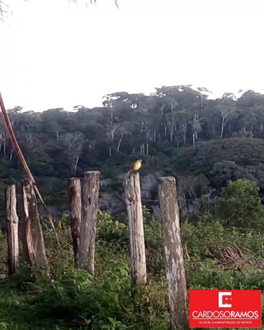 Sítio à venda em Acuipe, Ilhéus cod:FA00008 - Foto 6