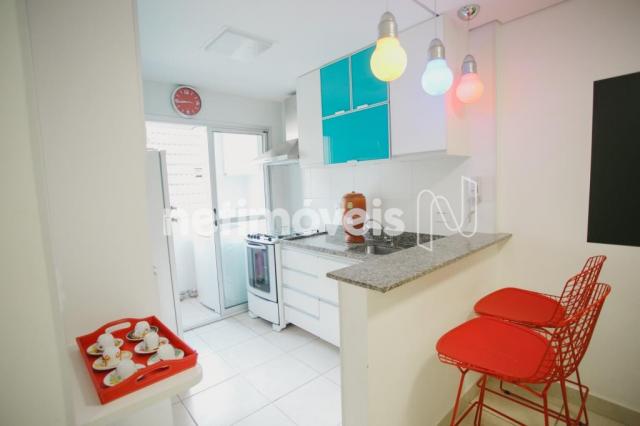 Apartamento à venda com 2 dormitórios em Nova suíssa, Belo horizonte cod:178144 - Foto 3