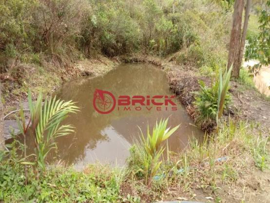 Sítio em teresópolis com cachoeira, nascente, terra para plantação e árvores frutíferas. - Foto 13