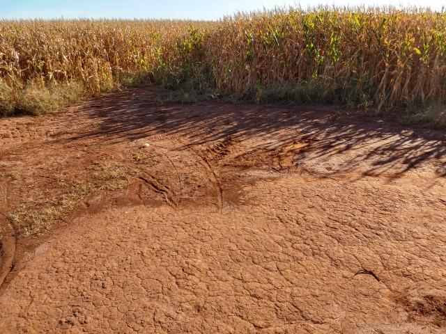 Fazenda Agrícola. 105 Alq. em Montividiu-GO - Foto 5