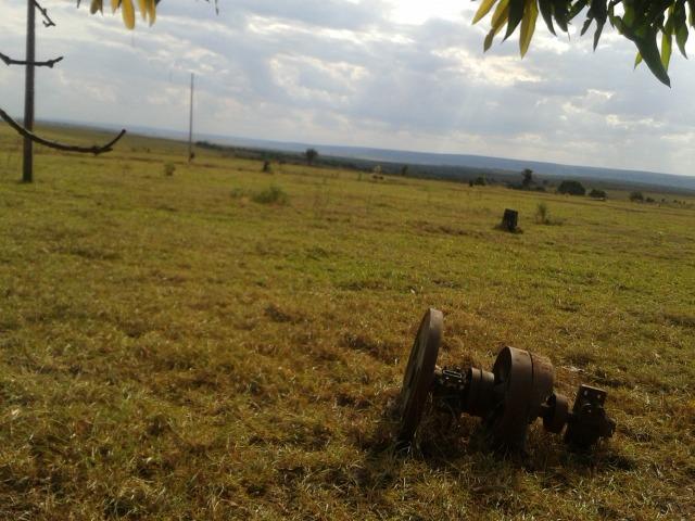 11.500 Hectares, Pecuária, 4800 há pastagens, estruturada, Mato Grosso. - Foto 2