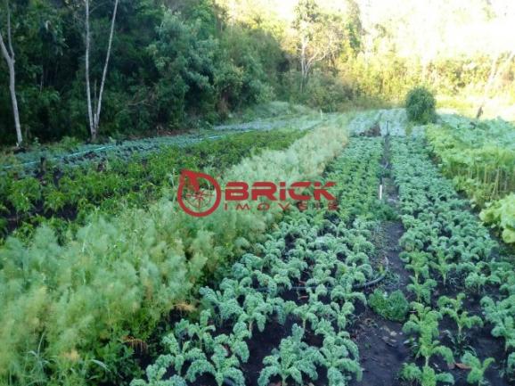 Sítio em teresópolis com cachoeira, nascente, terra para plantação e árvores frutíferas. - Foto 4