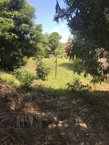 Margens do Jacuipe - Foto 2