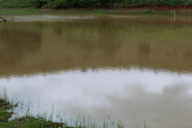 Fazenda Montada 25 Alqueires Cocalzinho"Toda Formada,72 km de Anapolis,129 km Goiania - Foto 2